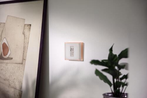 Netatmo Slimme Thermostaat OpenTherm Met Slimme Radiatorknop